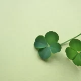 患者さまへのお願い